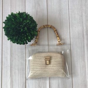 Clear plastic bamboo clutch